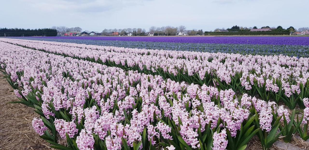 Vrijstaande Blokhut Villa เอกมอนด์-บินเนิน ภายนอก รูปภาพ