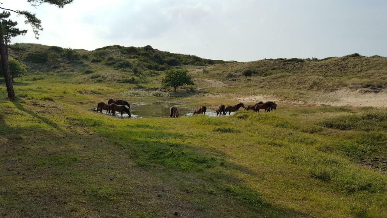 Vrijstaande Blokhut Villa เอกมอนด์-บินเนิน ภายนอก รูปภาพ