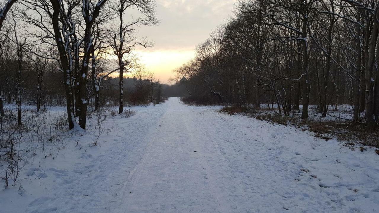 Vrijstaande Blokhut Villa เอกมอนด์-บินเนิน ภายนอก รูปภาพ